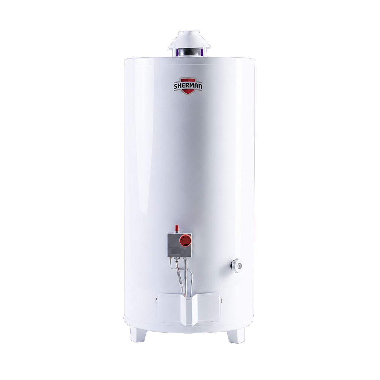 Termotanque a gas de pie 80 L